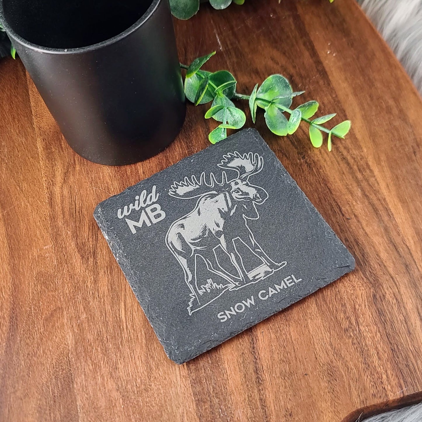 PAWS Wild MB Coasters - Natural Slate