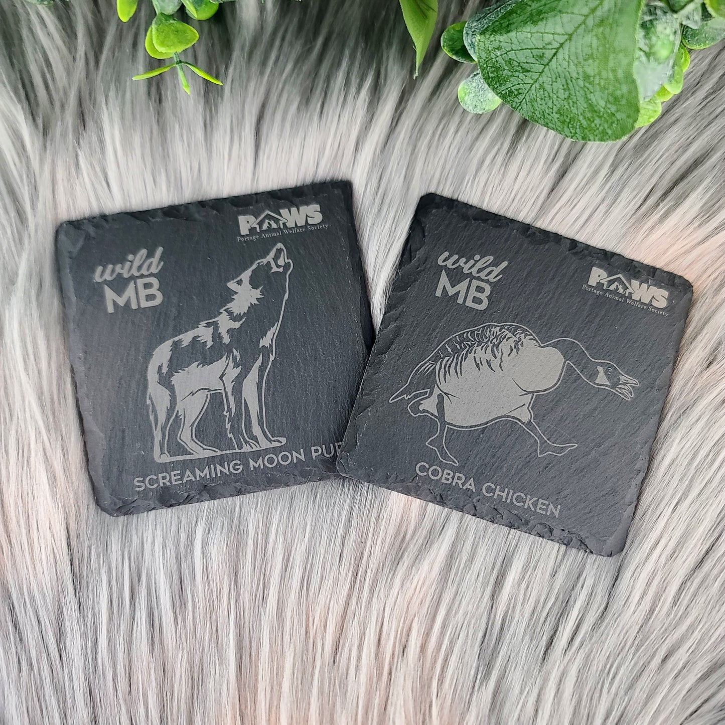 PAWS Wild MB Coasters - Natural Slate