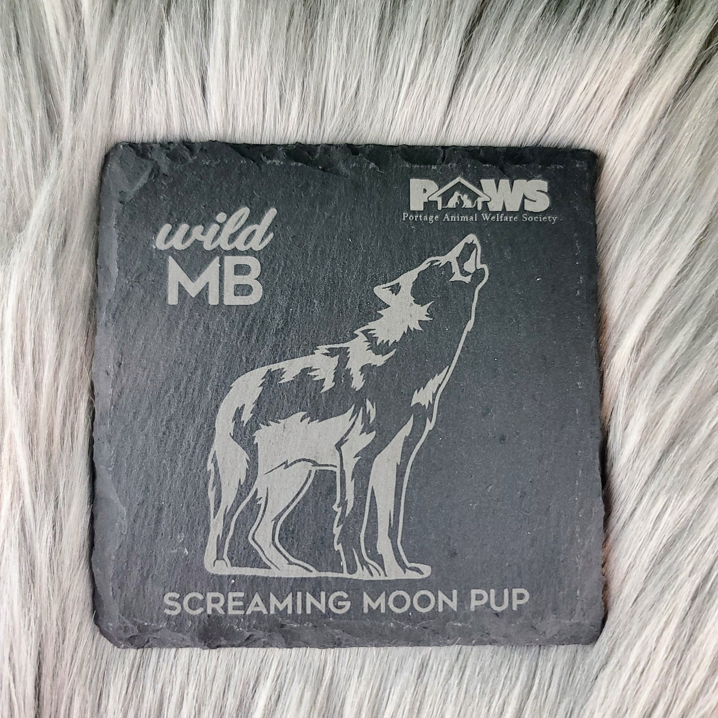 PAWS Wild MB Coasters - Natural Slate